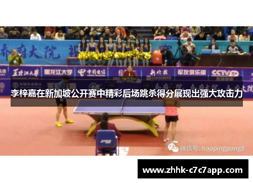 李梓嘉在新加坡公开赛中精彩后场跳杀得分展现出强大攻击力 李梓嘉在新加坡公开赛中精彩后场跳杀得分展现出强大攻击力