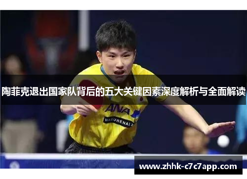 陶菲克退出国家队背后的五大关键因素深度解析与全面解读