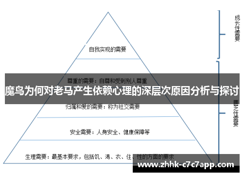 魔鸟为何对老马产生依赖心理的深层次原因分析与探讨 魔鸟为何对老马产生依赖心理的深层次原因分析与探讨